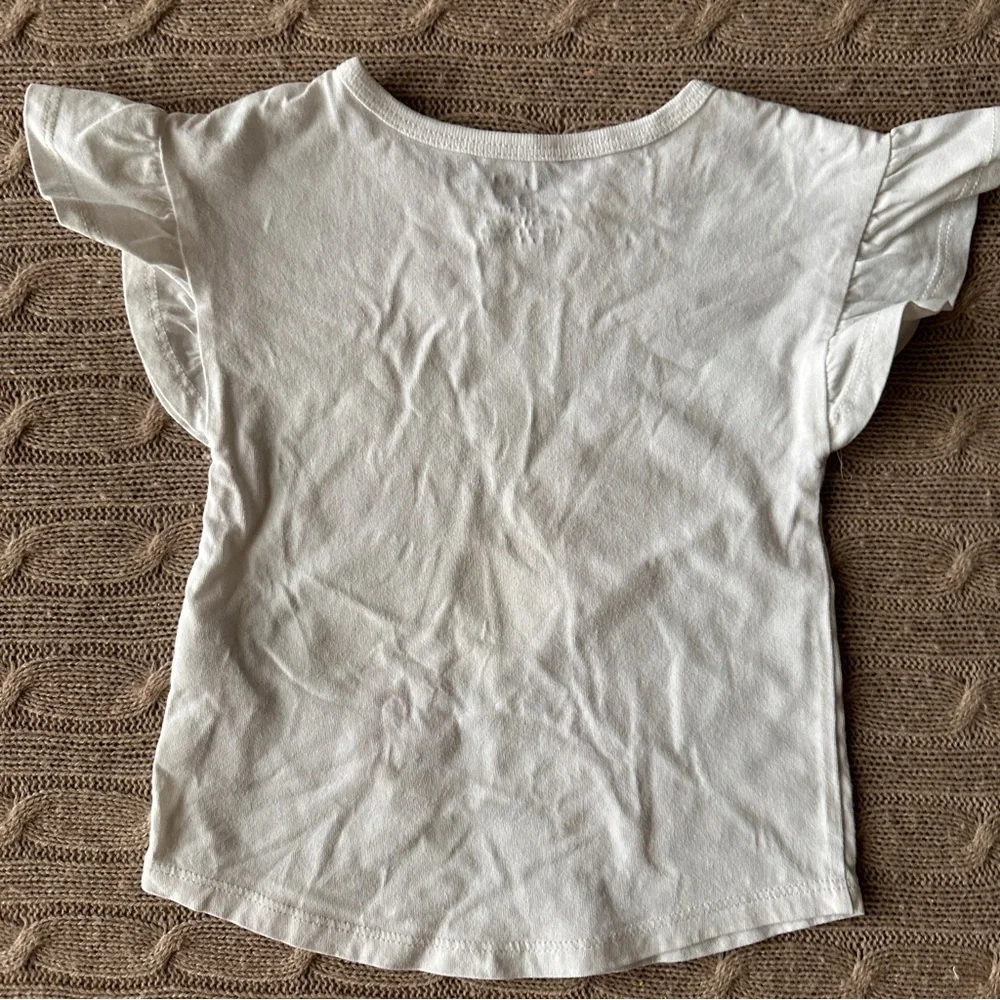 EUC Carter's Baby Girl Tee Shirt, Flower Pony, 18 Months